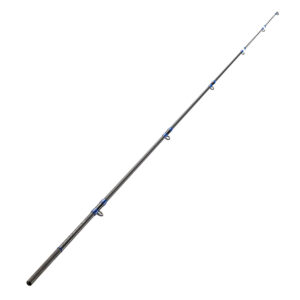 Ersatzspitze für Surfcasting-Rute Symbios 900 420 Power