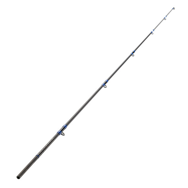 Ersatzspitze für Surfcasting-Rute Symbios 900 450 Power