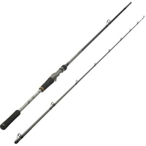 Spinnrute WXM-5 220 H Casting