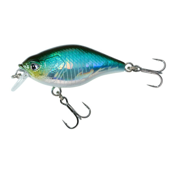 Wobbler Crankbait Shallow Runner WXM CRKSR 40 F blauer Rücken