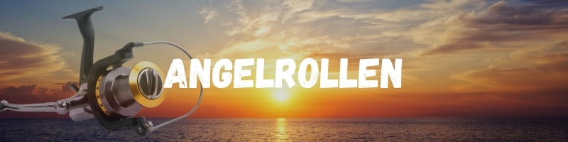 Angelrollen Startseite